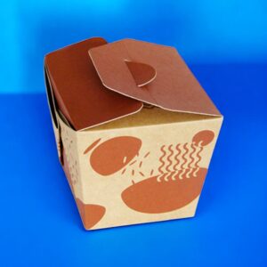 Noodle Packaging Boxes